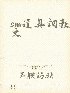 sm道具调教男文
