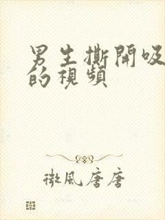 男生撕开吸乳头的视频