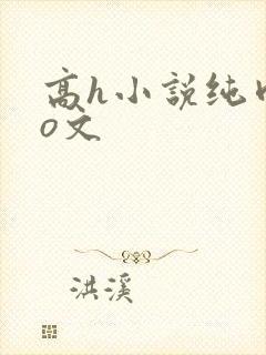 高h小说纯肉po文