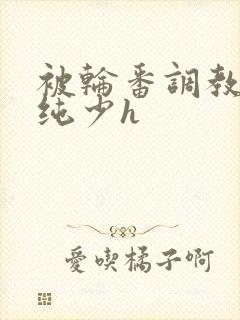 被轮番调教的清纯少h