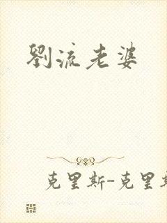 刘流老婆封面