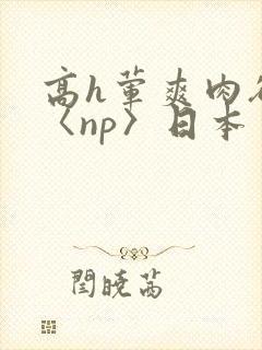 高h荤爽肉欲文〈np〉日本