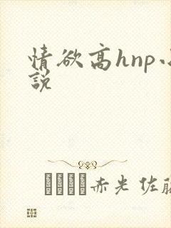 情欲高hnp小说