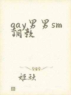 gay男男sm调教
