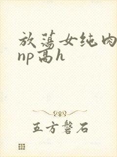 放荡女纯肉辣文np高h封面