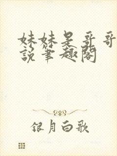 妹妹是哥哥的小说笔趣阁