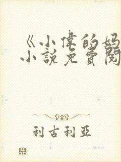 《小伟的妈妈》小说免费阅读