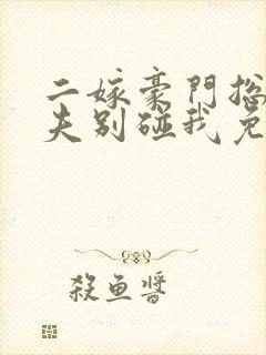 二嫁豪门总裁前夫别碰我免费阅读封面