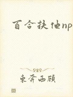 百合扶他np封面