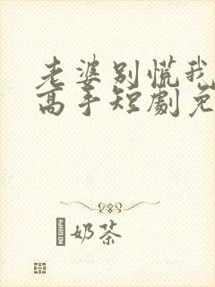 老婆别慌我全家高手短剧免费播放