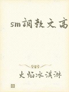 sm调教文高h