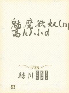 魅魔欲奴(np高h)小d