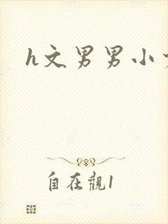 h文男男小少爷封面