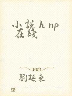 小说 h np 在线