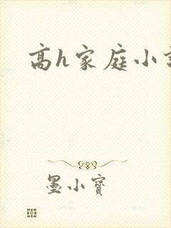 高h家庭小说封面