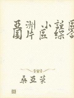 亚洲 小说区 图片区 综合另类封面