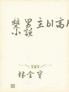 双男主bl高h小说