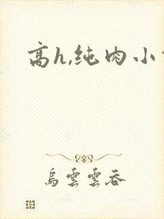 高h,纯肉小说封面