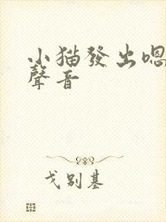 小猫发出嗯哼的声音