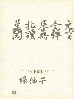 叶北辰全文免费阅读无弹窗