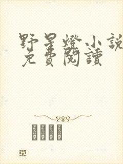 野星灯小说全文免费阅读