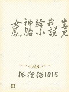 女神给我生了龙凤胎小说免费阅读