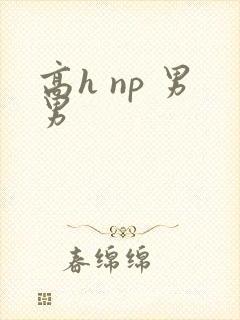 高h np 男男