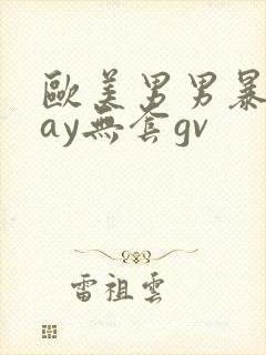 欧美男男暴菊gay无套gv封面