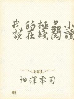 我的极品小姨小说在线阅读