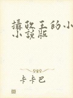 摄政王的小闲妻小说版