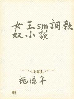 女王sm调教男奴小说