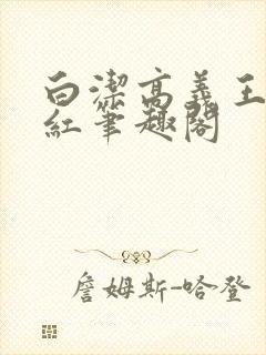 白洁高义王申美红笔趣阁封面