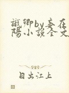 识卿by妾在山阳小说全文免费阅读