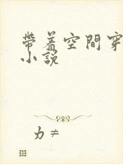 带着空间穿越 小说