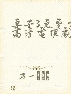 妻子3免费完整高清电视剧在线观看封面