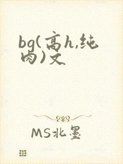 bg(高h,纯肉)文