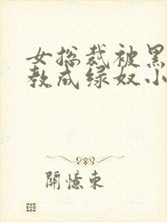 女总裁被黑人调教成绿奴小说