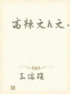 高辣文h文小说