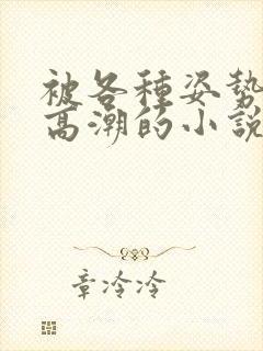 被各种姿势c到高潮的小说封面