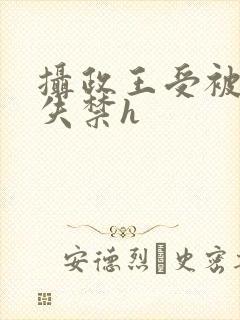 摄政王受被肉到失禁h