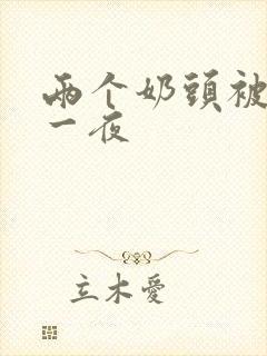 两个奶头被亲了一夜封面