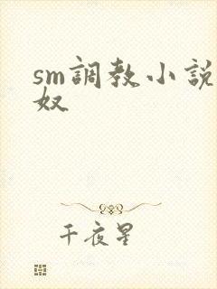 sm调教小说妻奴封面