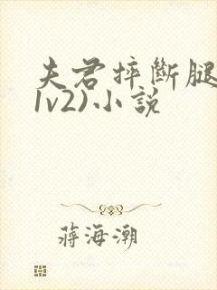 夫君摔断腿后(1v2)小说