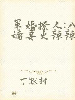 军婚撩人:八零娇妻火辣辣全文阅读全文