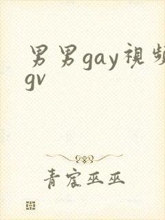 男男gay视频gv