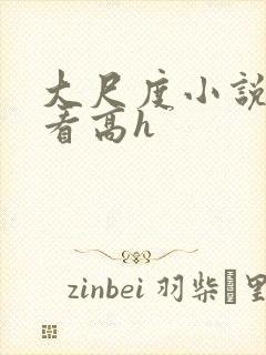 大尺度小说免费看高h封面