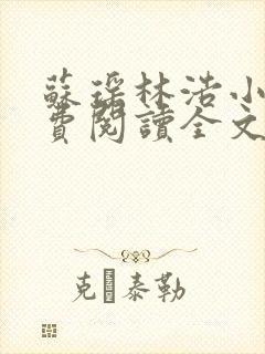 苏瑶林浩小说免费阅读全文最新章节