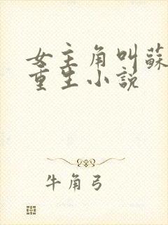 女主角叫苏离的重生小说封面