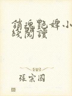 销魂艳婢小说在线阅读