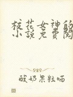 校花女神的堕落小说免费阅读无弹窗